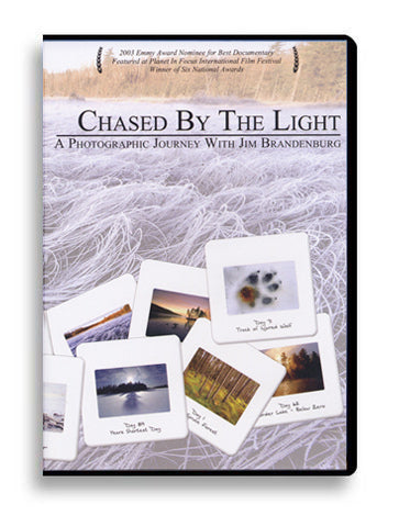 DVD: Chased by the Light